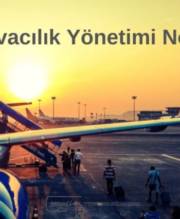 havacılik yönetimi nedir